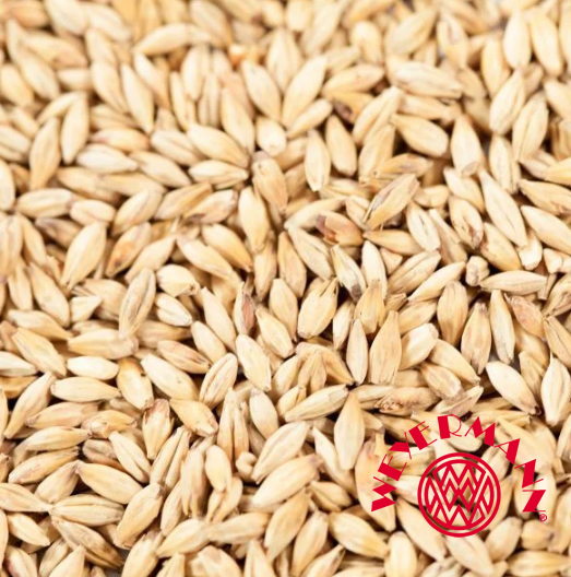 Malte Caraamber Weyermann