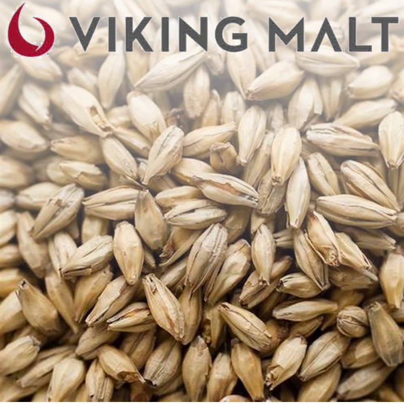 Malte Golden Ale Viking