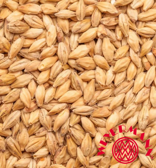 Malte Pilsen Alemão (Weyermann)