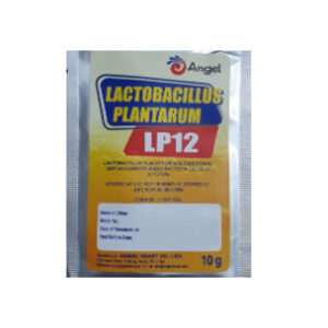 Lp12 Lactobacillus Plantarum 10g Angel Yeast