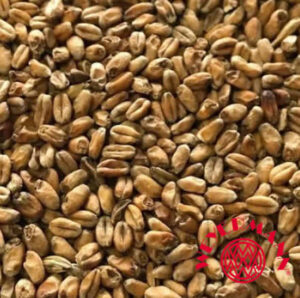 Malte Trigo Escuro Weyermann 100g