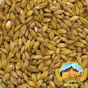 Malte Chateau Acid 100g (Acidificado)