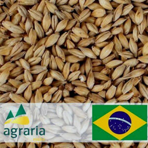 Malte Vienna Agraria 100g