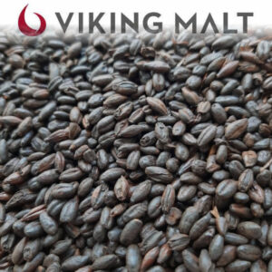 Black Pearled Malte Viking