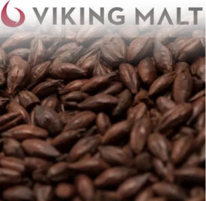 Malte Black Viking