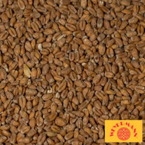 Malte Trigo Claro Weyermann 100g