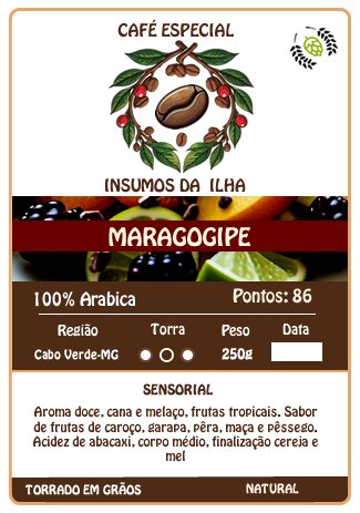15590292975-maragogipe-fundo-branc-site-fw.jpg